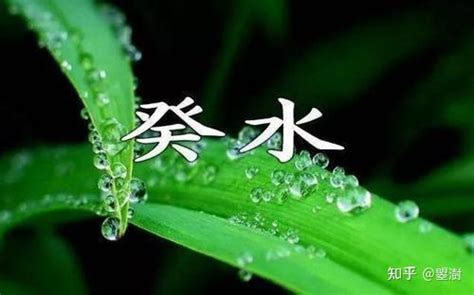 壬癸水|壬癸水的基本区别